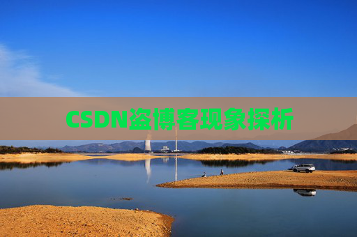 CSDN盗博客现象探析